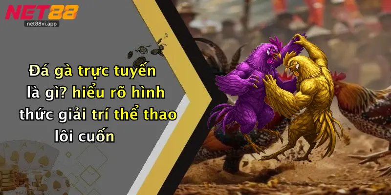 Đá gà trực tuyến là gì? hiểu rõ hình thức giải trí thể thao lôi cuốn
