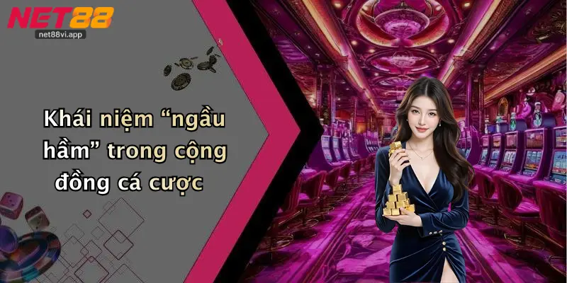 Ngầu Hầm 2 Khái niệm “ngầu hầm” trong cộng đồng cá cược